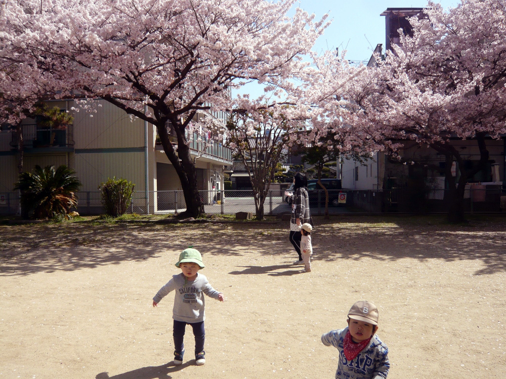 ひさかたの　光のどけき　春の日に…