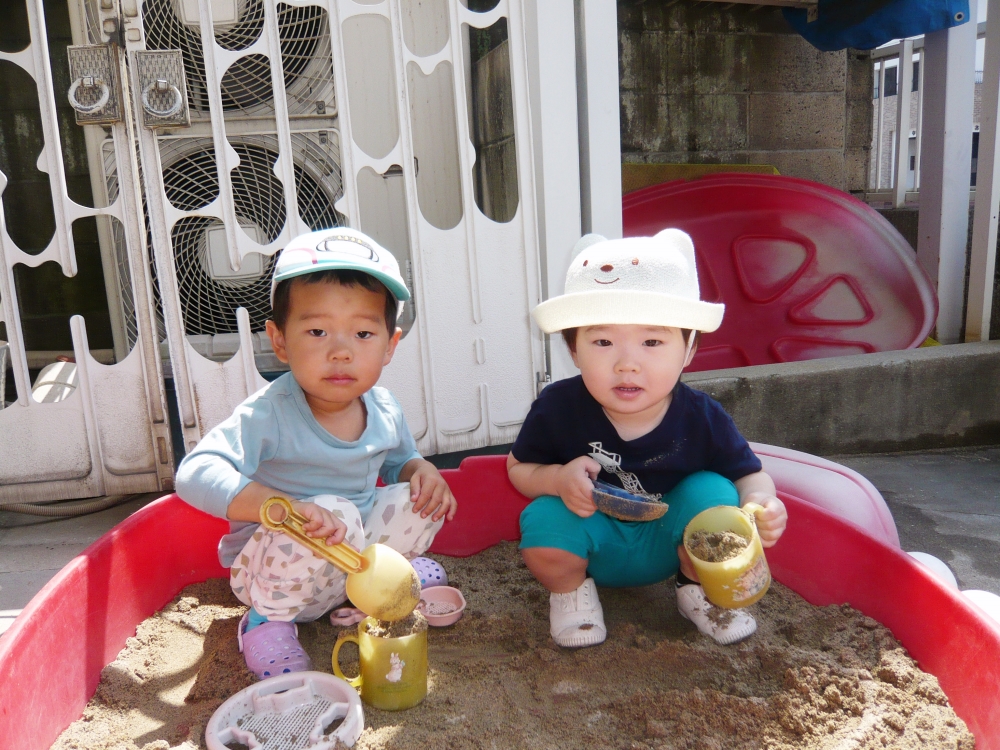 やさいを植えました🍅