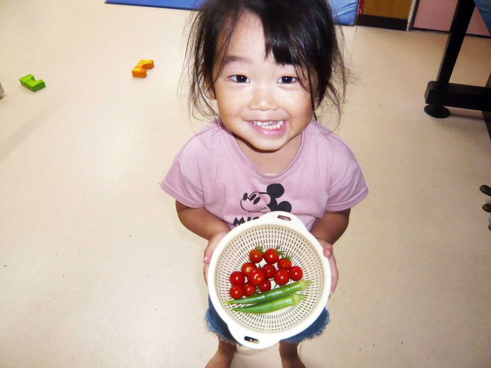 たくさん実ったよ！🥒